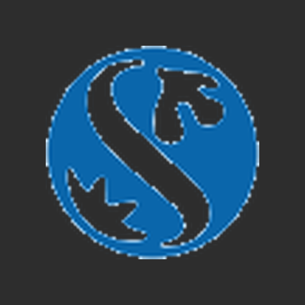 Shinhan Financial Group logo