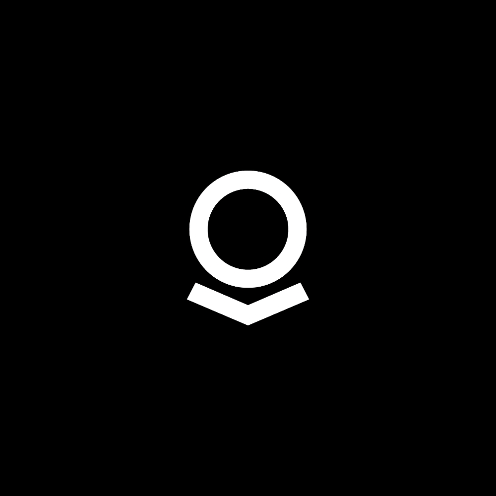 Palantir. logo