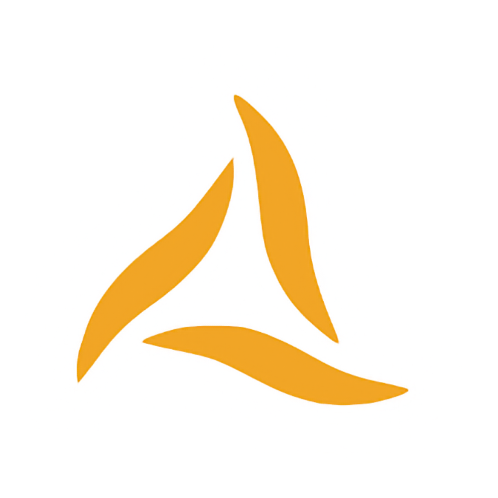 Kinsale Capital Group Inc logo